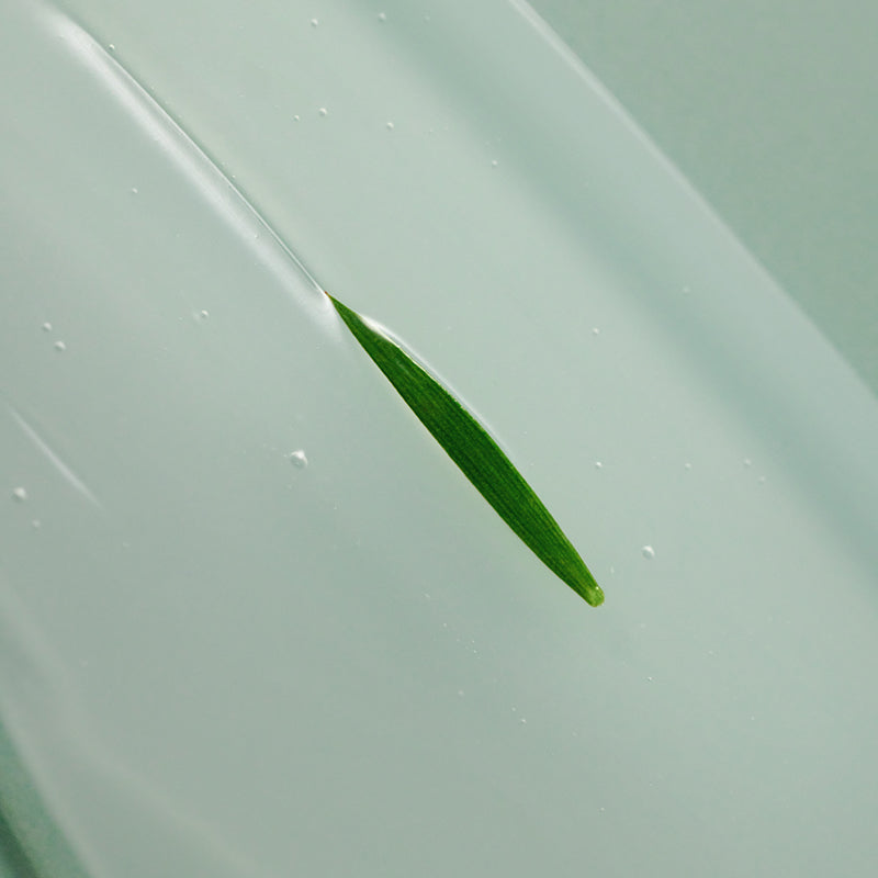 AHA BHA PHA 14 Tage Super-Wundercreme gegen Pickel