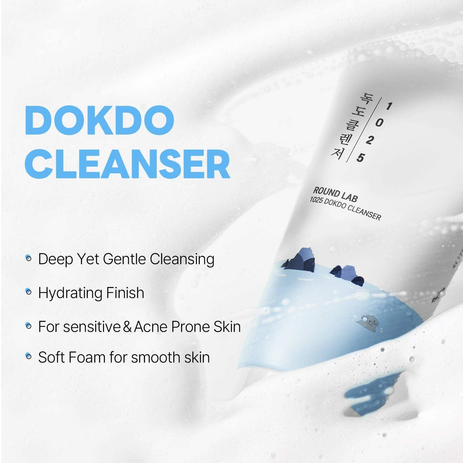 1025 Dokdo Cleanser - ROUND LAB