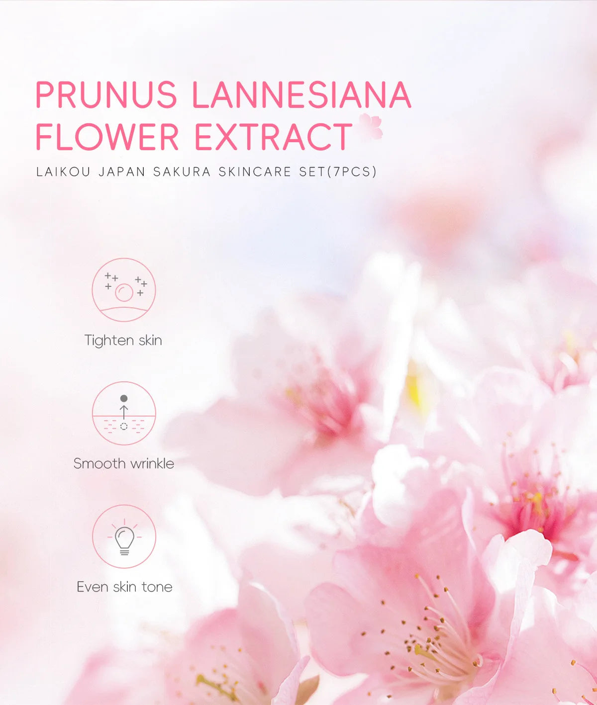 Sakura Skin Care Kit Hydrating Moisturizing Skin Care with Cleansing Pore Treatment and Sunscreen Cosmetic Skincare Korean