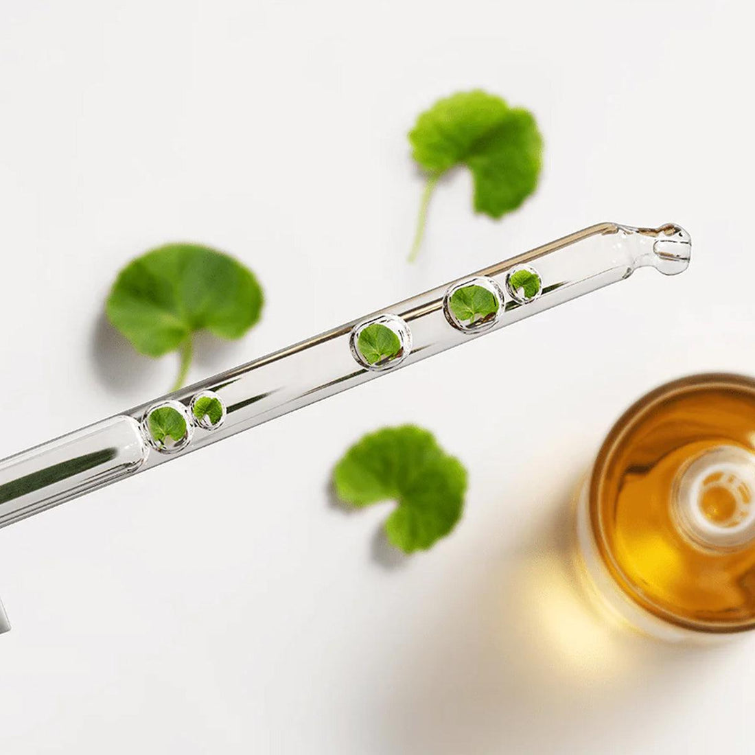 Madagascar Centella Ampoule