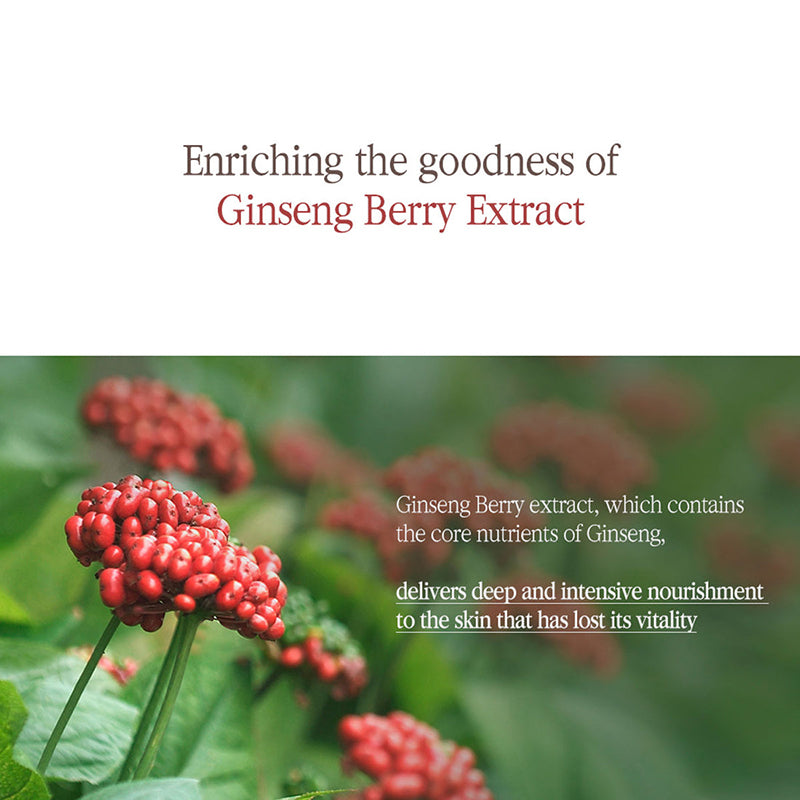 Schwarzer Tee Boosting Serum