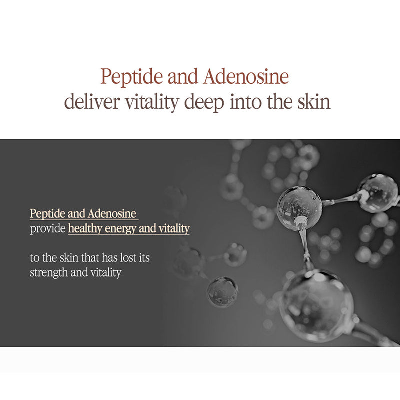 Schwarzer Tee Boosting Serum