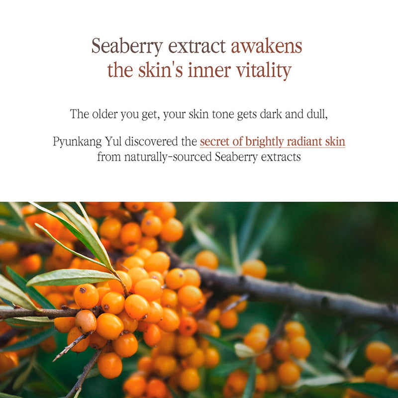 Schwarzer Tee Boosting Serum